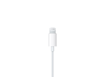 Picture of Apple EarPods with Lightning Connector